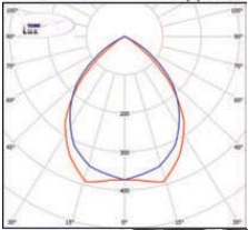  ������ ���� �����